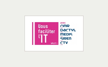 Logo VFLIT